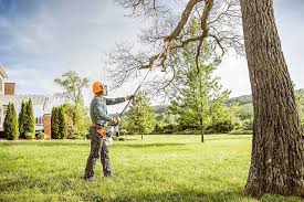 Best Soil Testing and Treatment  in Novato, CA